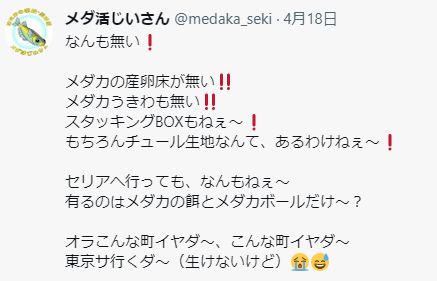 メダカ用品でセリアへ行ったら買うべき品 めだかの学校 関分校